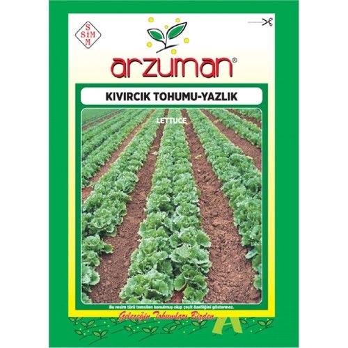Arzuman Yazlık Marul - Kıvırcık Tohumu (10 Gr)