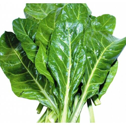 Arzuman Geniş Yaprak Pazı 10 Gram