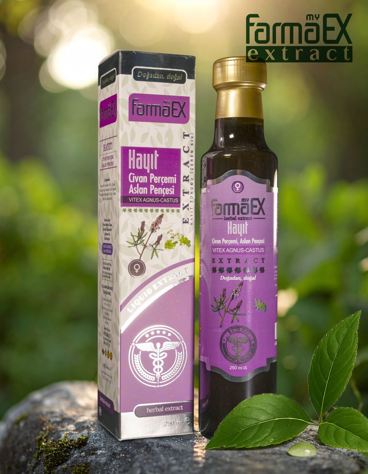 Hayıt Ekstraktı 250 Ml. Hayıt Civan Perçemi Aslan Pençesi Bitkisi Sıvı Ekstresi