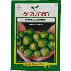 Arzuman Brüksel Lahanası 200'lü
