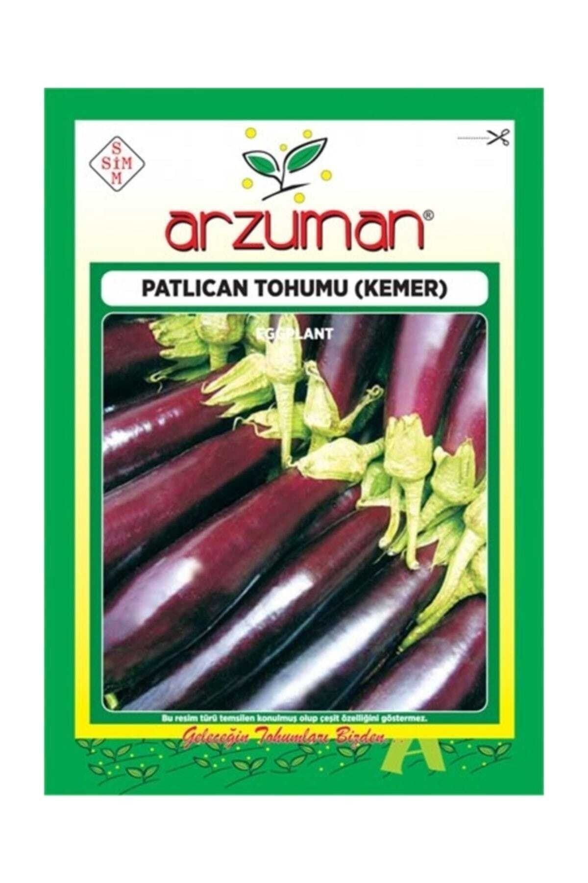 Kemer Patlıcan Tohumu