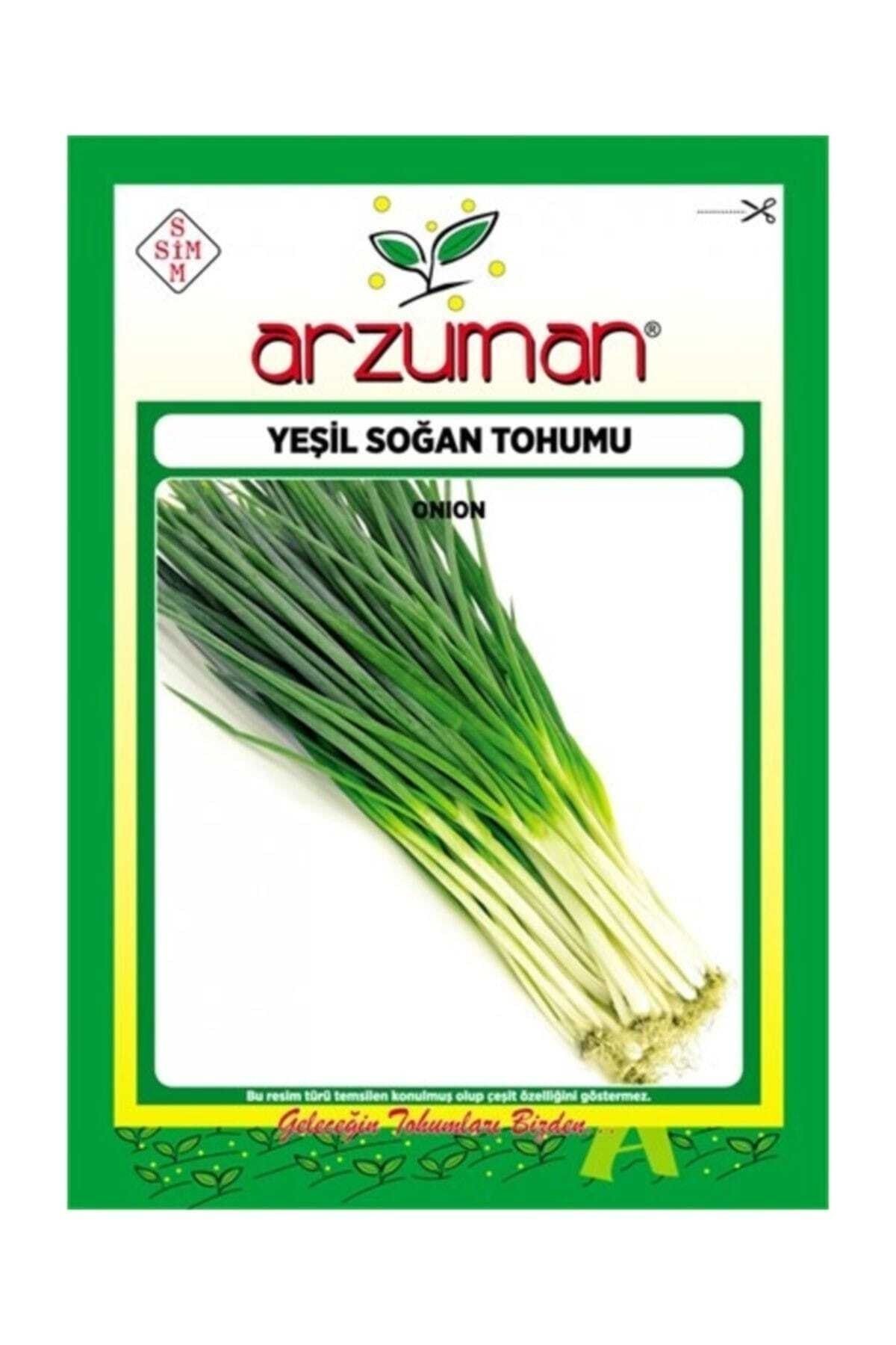 Yeşil Taze Soğan Tohumu