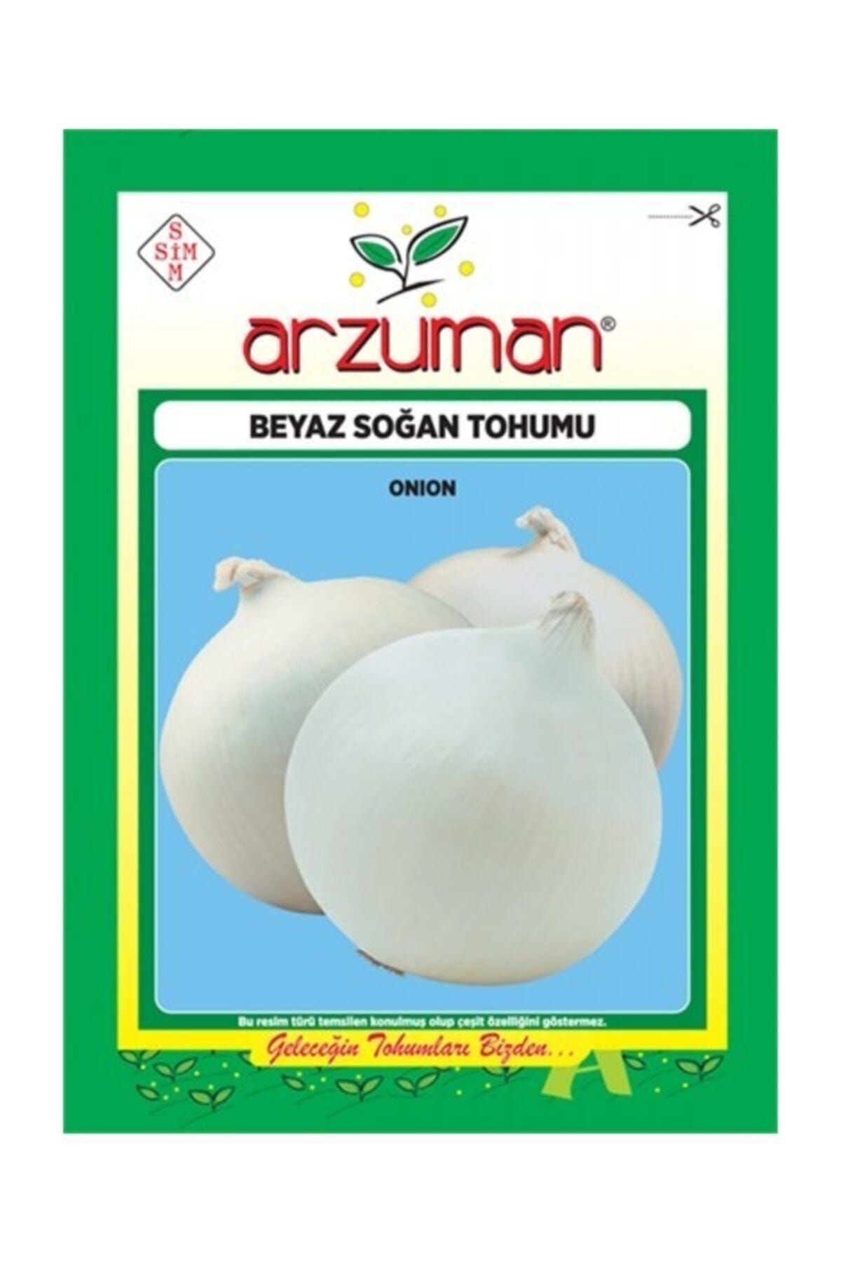 Beyaz Soğan Tohumu