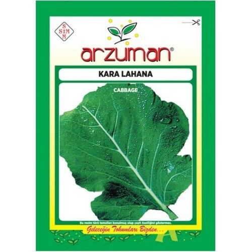 Arzuman Sebze Kara Lahana Tohumu