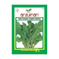 Arzuman Tere Tohumu 10 gr