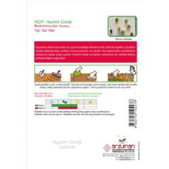 Arzuman Ay Yıldız (Gaillardia) Çiçek Tohumu 50 Adet