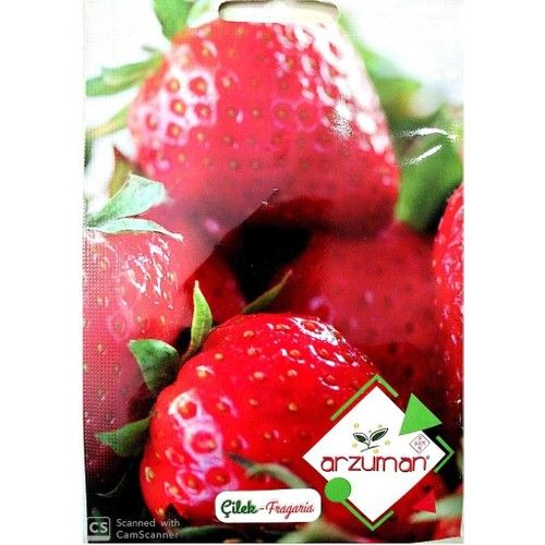 Arzuman Çilek Tohumu 100'lü