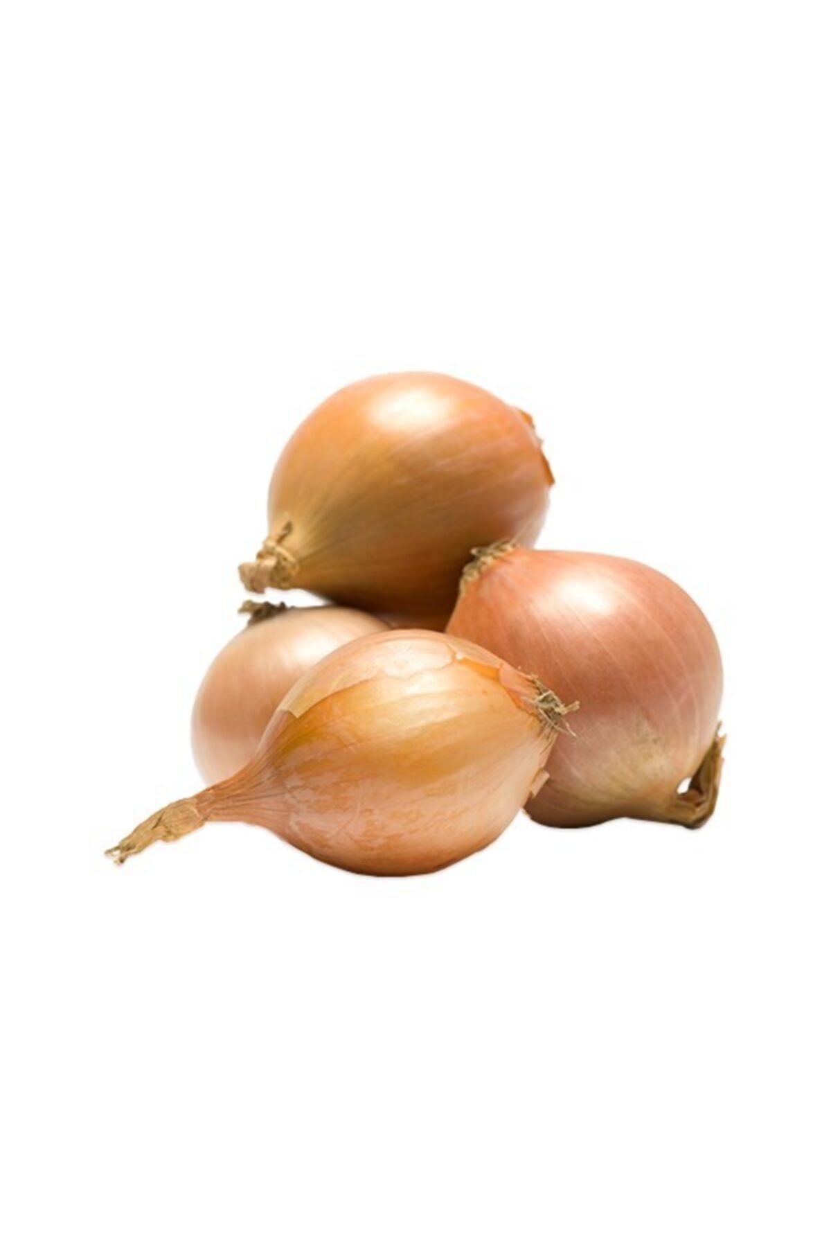 Arpacık Soğan 500 Gr