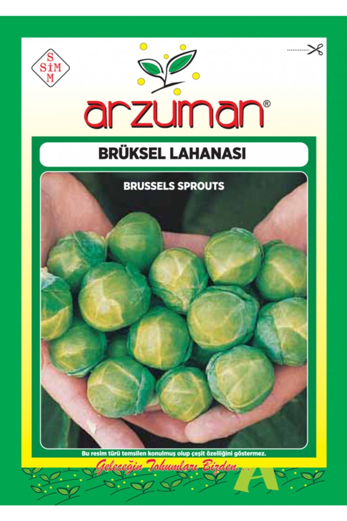 Arzuman Brüksel Lahanası Tohumu