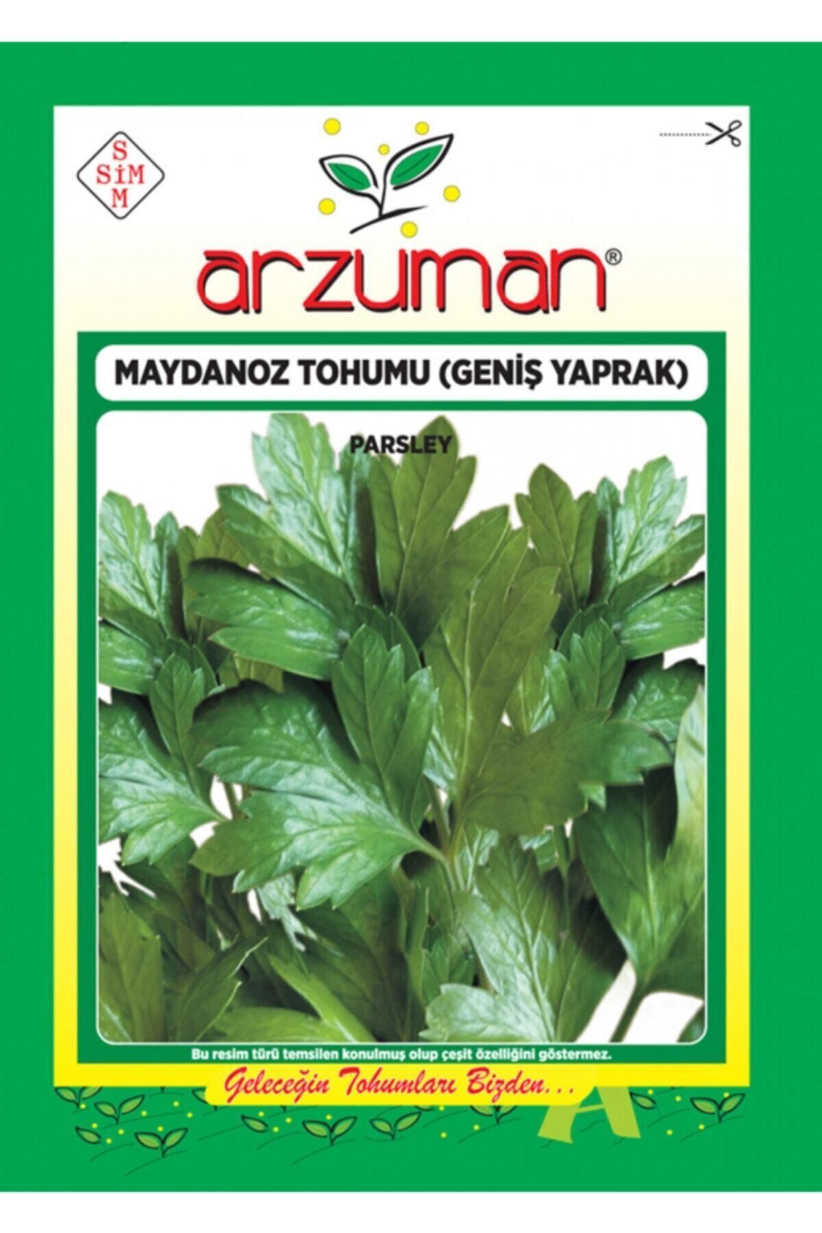 Arzuman Maydonoz Tohumu