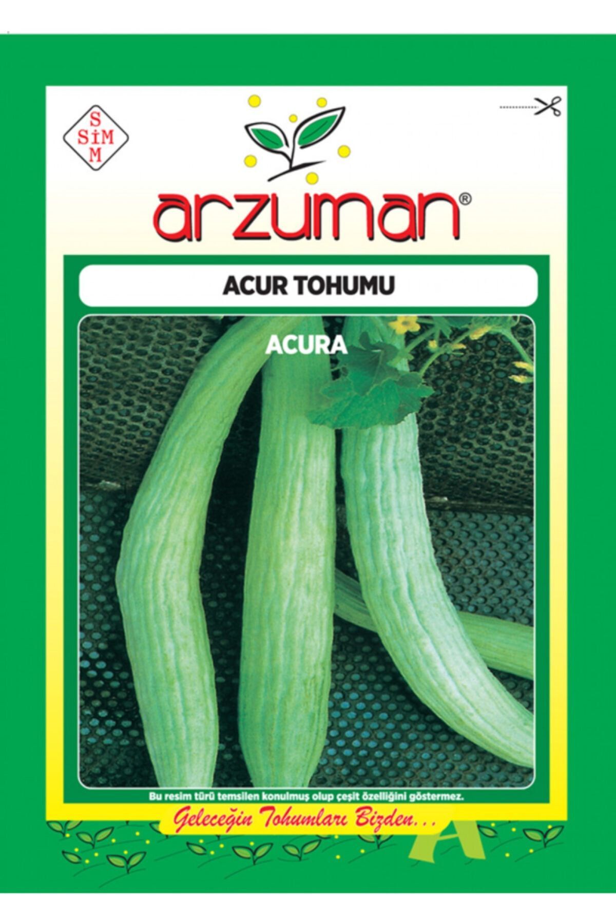 Arzuman Acur Tohumu