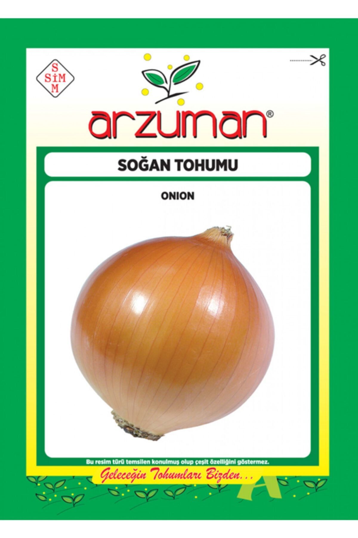 Arzuman Soğan Tohumu