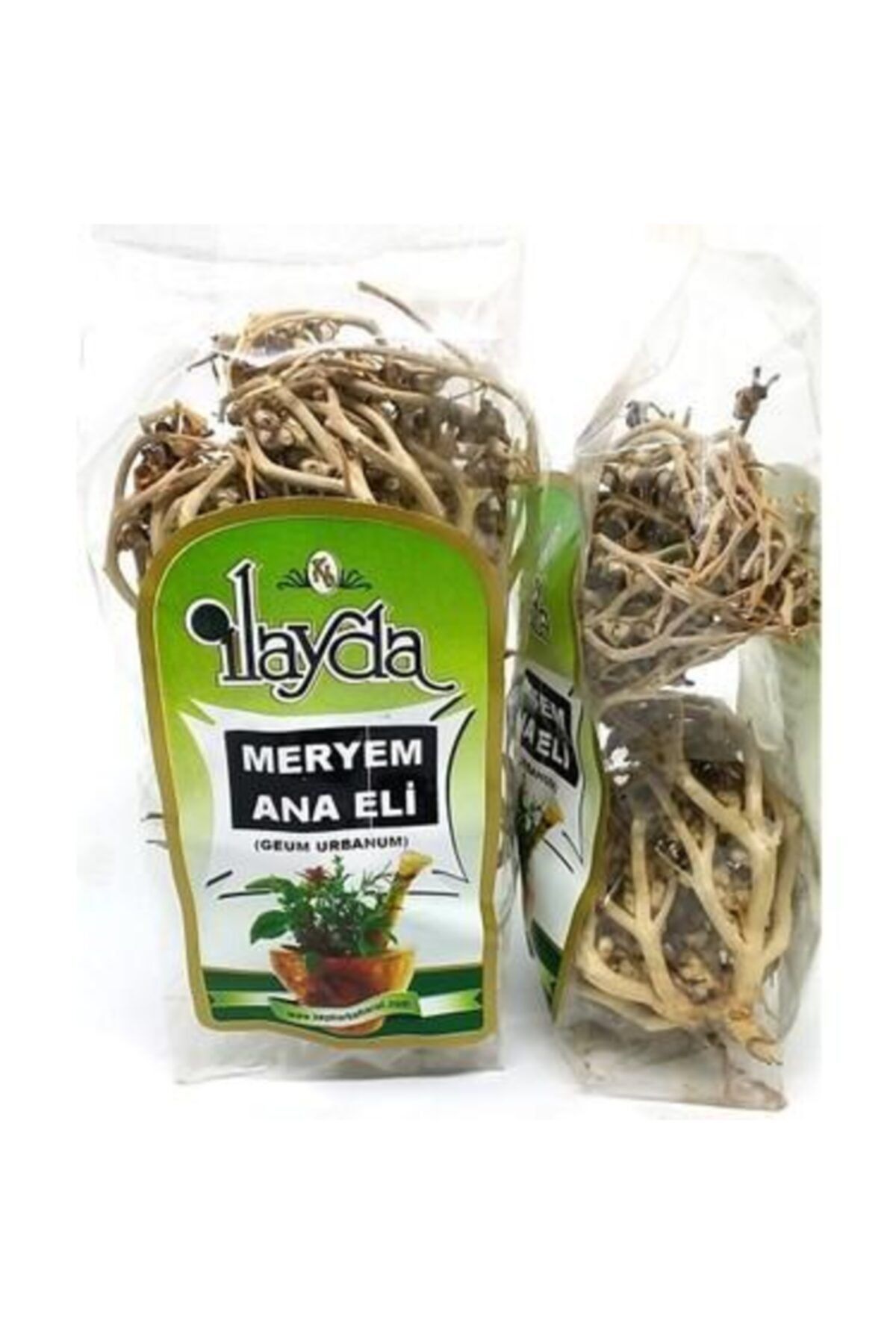 Meryem Ana Eli Otu
