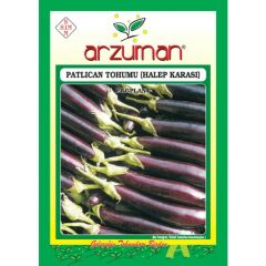 Arzuman Sebze Patlıcan Tohum Halep Arkası 10 gr