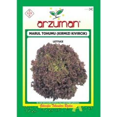 Arzuman Sebze Kırmızı Kıvırcık Marul Tohum 5 gr