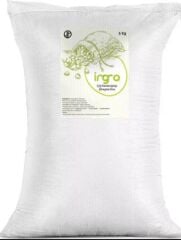 İngro Glutensiz Çiğ Karabuğday Unu (Greçka Unu) 5000 g