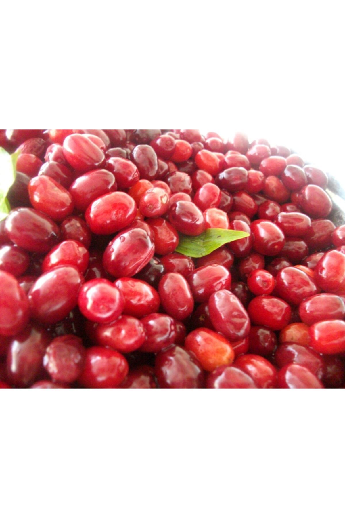 Kızılcık Kurusu Güneşte Kurutma (1000 gr)