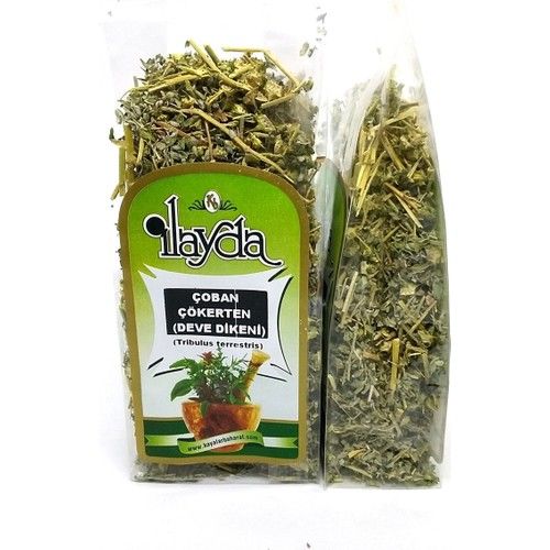 Ilayda Çoban Çökerten (Tribulus Terrestris)