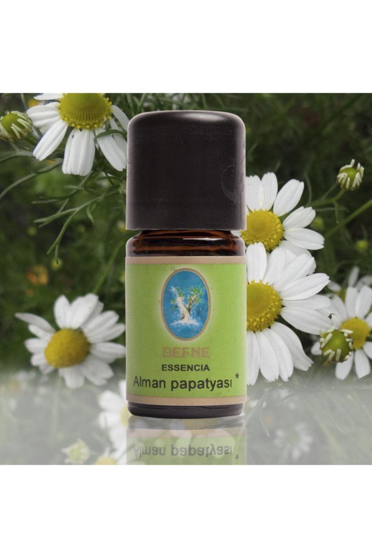 Nuka Alman Papatyası 1 Ml