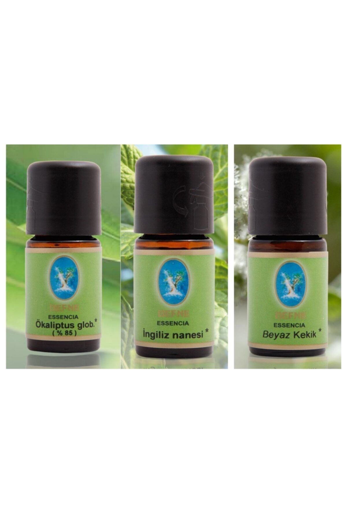 Defne Organik Okaliptüs Ingiliz Nanesi Beyaz Kekik Yağı 10 Ml 3 'lü Paket Aromaterapi