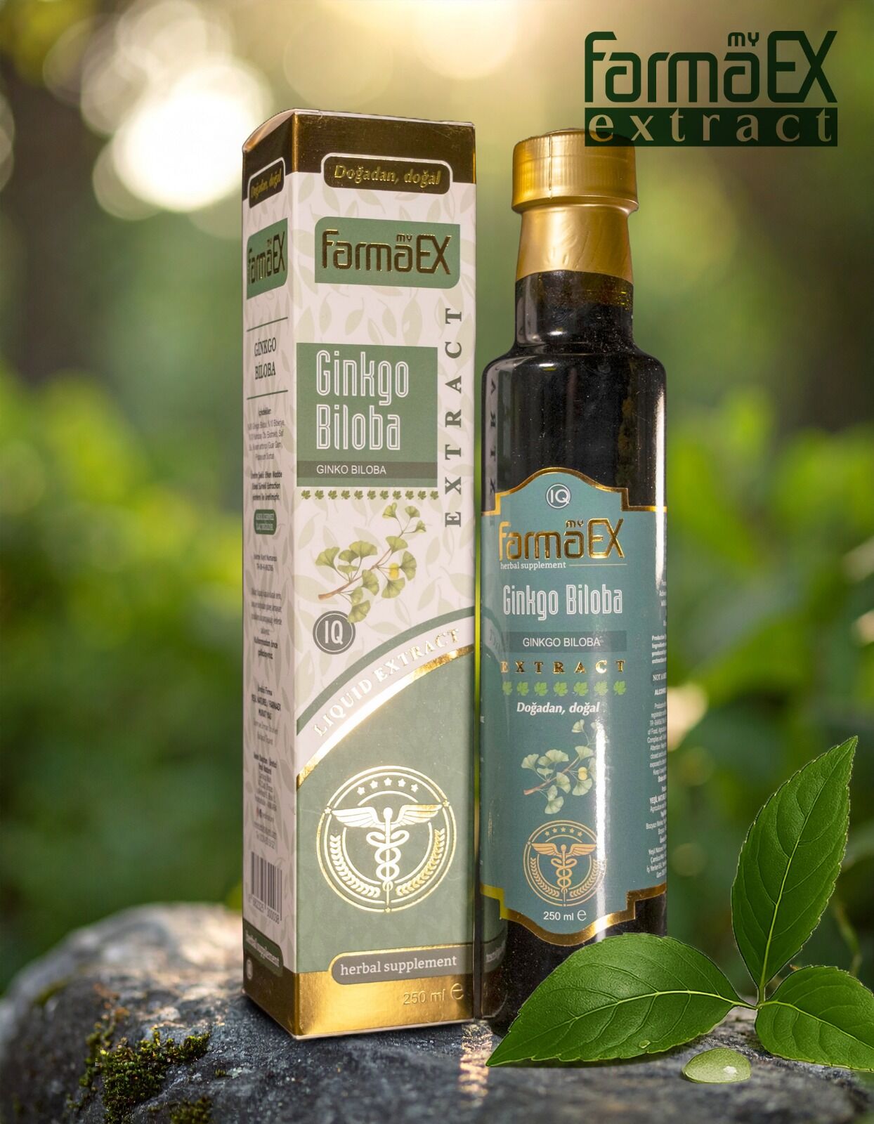 Ginkgo Biloba Ekstraktı 250 ml Ginko Biloba Extract Ginkgo Sıvı Ekstresi