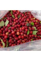 Kızılcık Kurusu Ev Yapımı 1kg