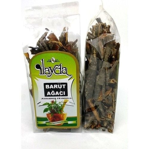 Ilayda Barut Ağacı (Rhamnus Frangula)