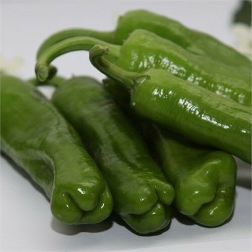 Arzuman Mazamort Üçburun Biber 10 Gram