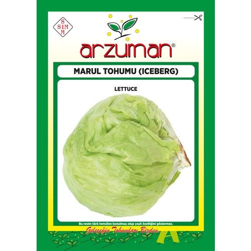 Arzuman Iceberg Marul Tohumu 5 Gram