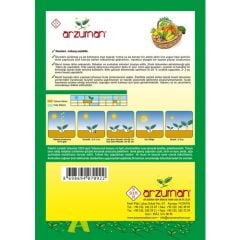 Arzuman Iceberg Marul Tohumu 5 Gram