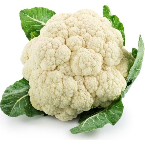 Arzuman Karnabahar 500 Adet