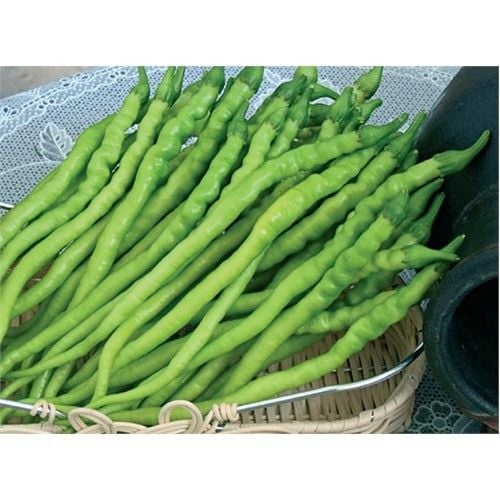 Biber Kıl Sivri Tatlı Tohumu(10 Gr)