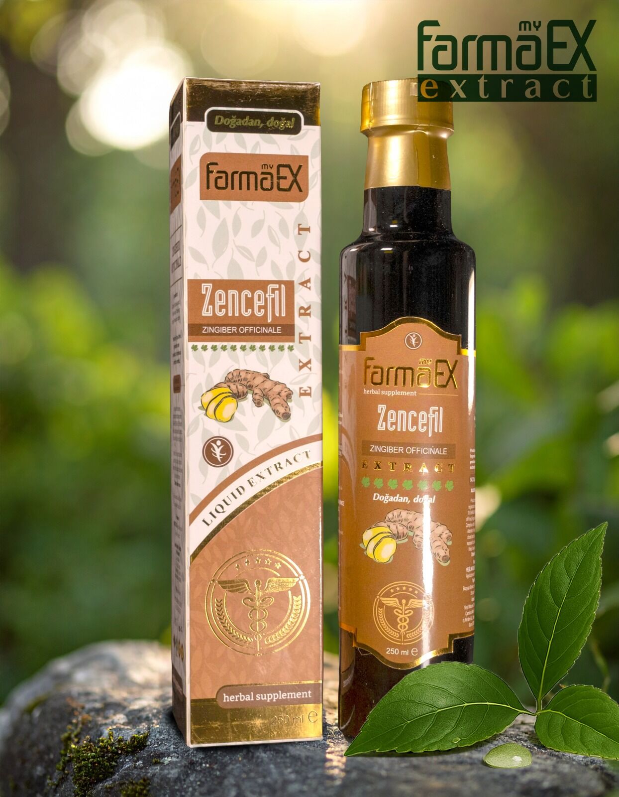 Zencefil Ekstraktı 250ml