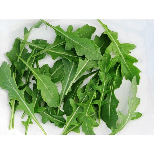 Arzuman Roka Geniş Yaprak 10 Gram