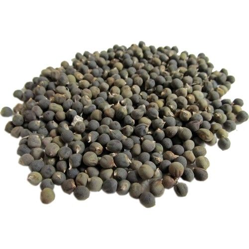 Atasagun Şifa Bamya Tohumu 1 kg