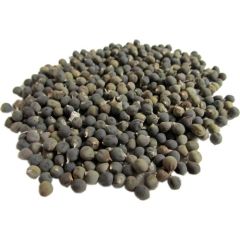 Atasagun Şifa Bamya Tohumu 1 kg