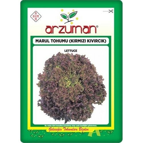 Arzuman Kırmızı Marul Tohumu (Kırmızı Kıvırcık) 5 gr