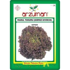 Arzuman Kırmızı Marul Tohumu (Kırmızı Kıvırcık) 5 gr