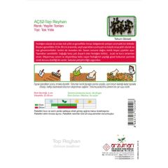 Arzuman Top Fesleğen - Top Reyhan (Ocimum Basilicum) Çiçek Tohumu 100 Adet