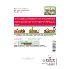 Arzuman Hanım Düğmesi (Gomphrena Globosa) Çiçek Tohumu 20 Adet