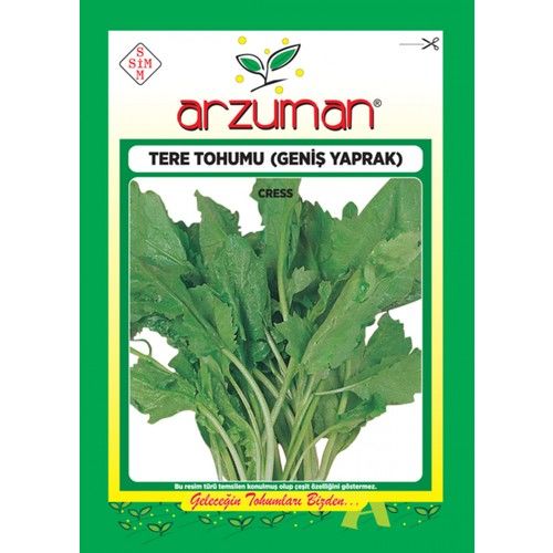 Arzuman Tere Otu Sebze Tohum Geniş Yaprak 10 gr