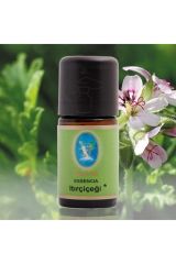 Defne Essencia Organik Portakal Yağı Bergamot Yağı Itır Yağı 5 Ml. 3' Lü Paket Uçucu Yağ