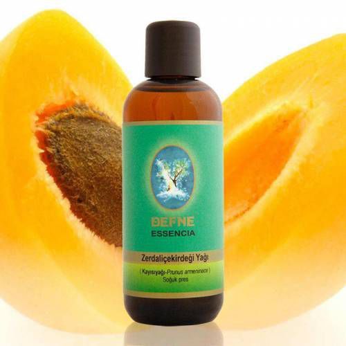 Nuka Zerdali Çekirdeği (kayısı çekirdeği )30 ml. (Soğuk Pres)