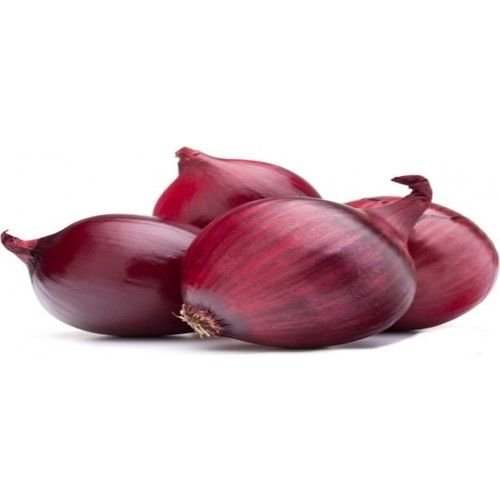 Arzuman Mor Soğan Tohumu Arzuman(5 Gr)